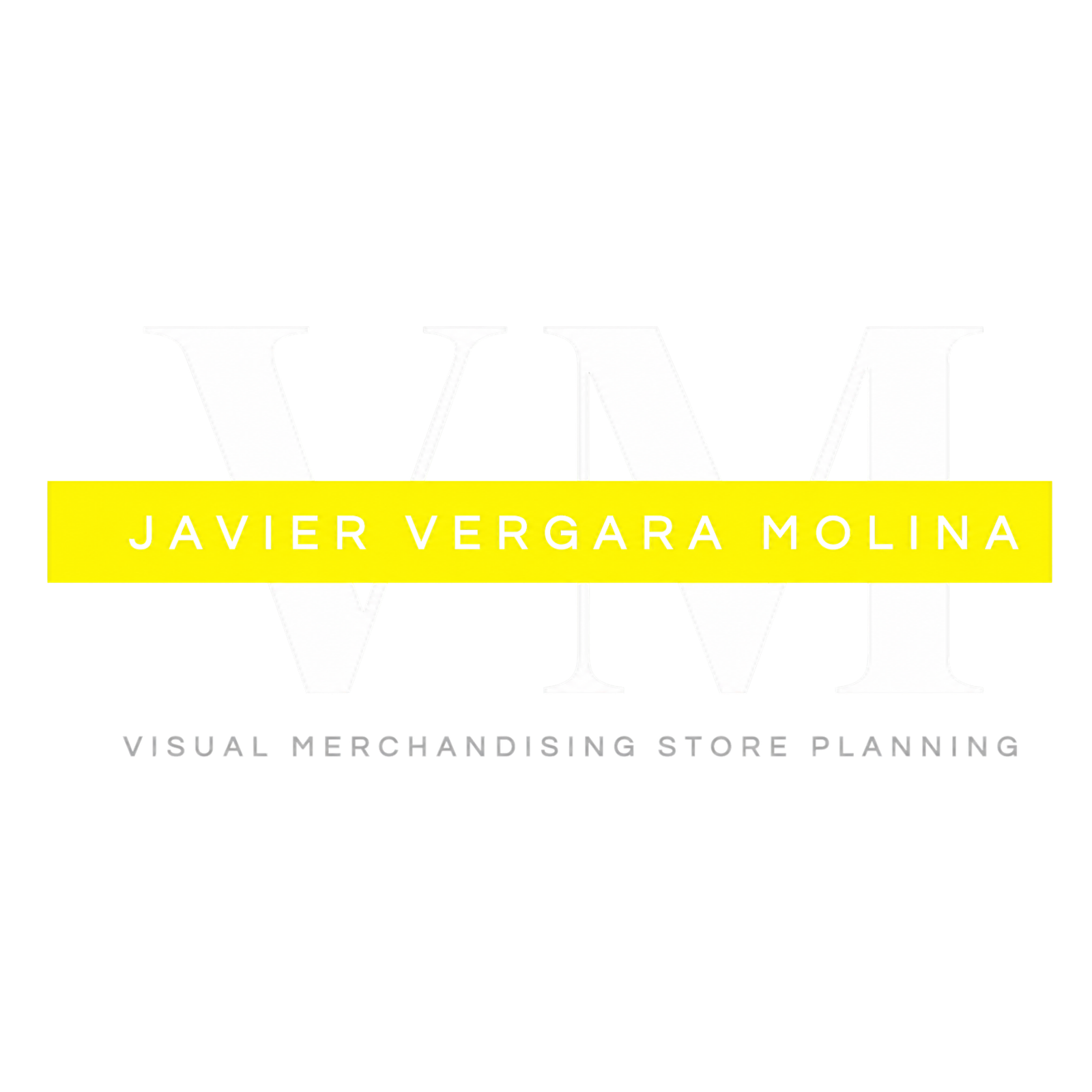 VM Consulting - Javier Vergara Molina